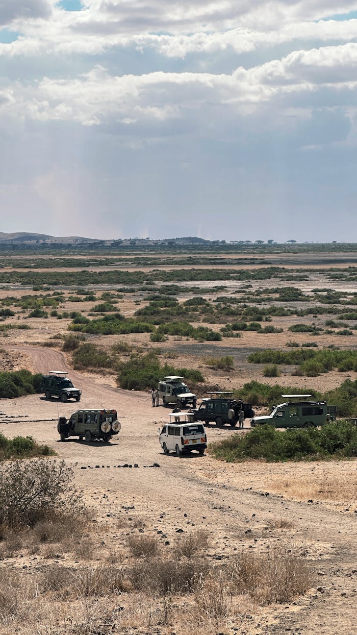 Home Safari vehicles traverse the rugged terrain of a vast South African landscape under a cloudy sky.